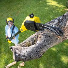 Best Sod Installation  in St James, NY